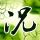万岁山武侠城大象露脚踝？景区回应